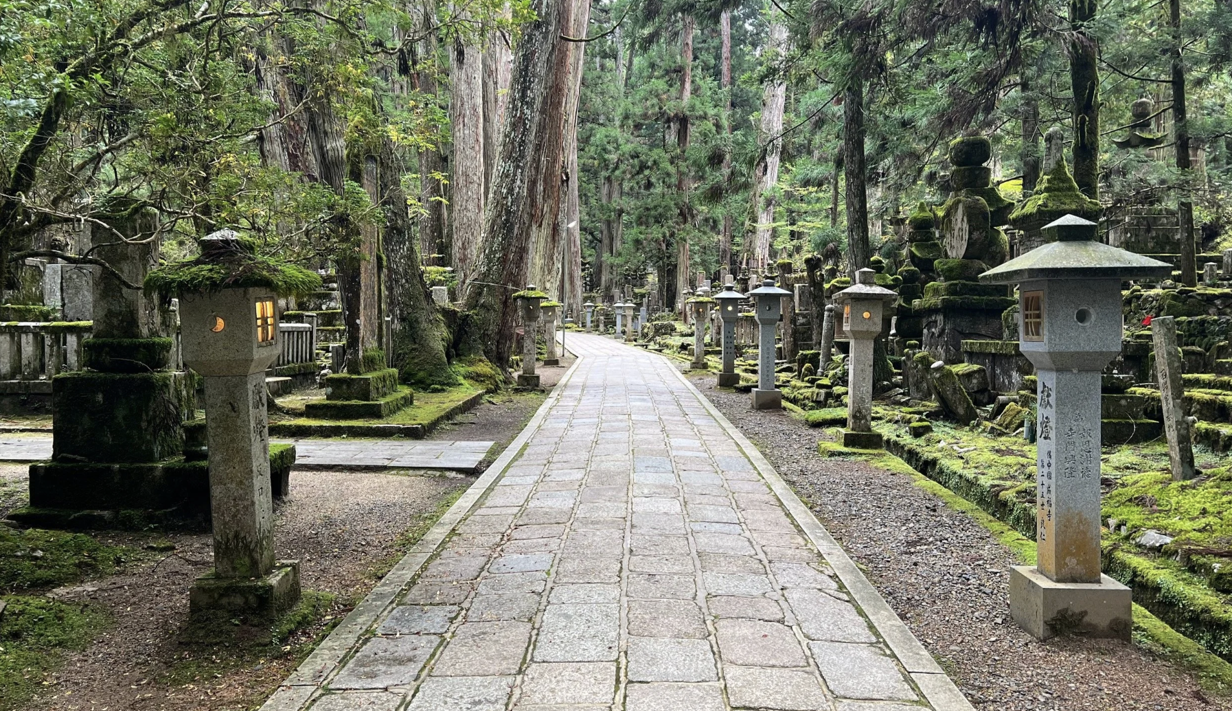 The forested path of Okunoin in Koyasan
